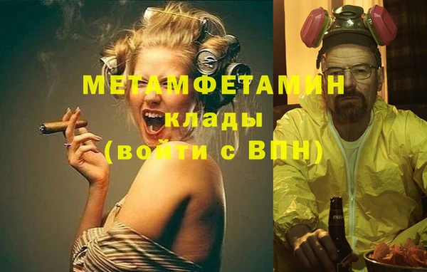 прущие грибы Верея